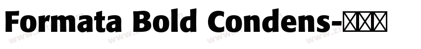 Formata Bold Condens字体转换